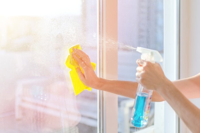 Window Scrubbers and Brushes