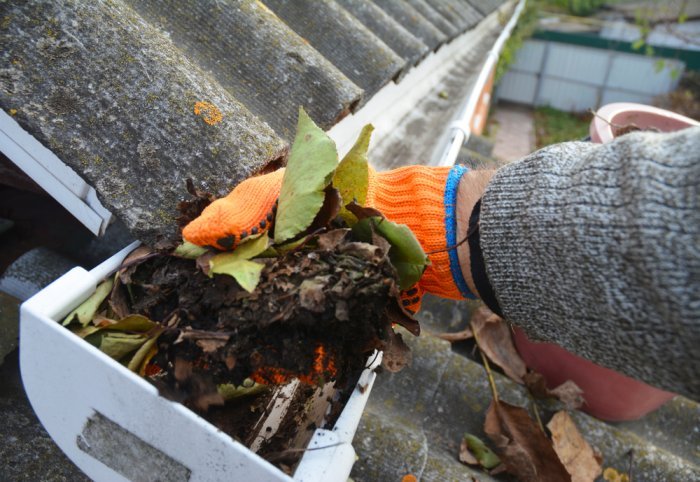 DIY Roof Cleaning
