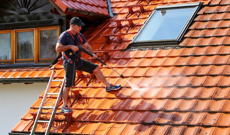 Professional Roof Cleaning Services